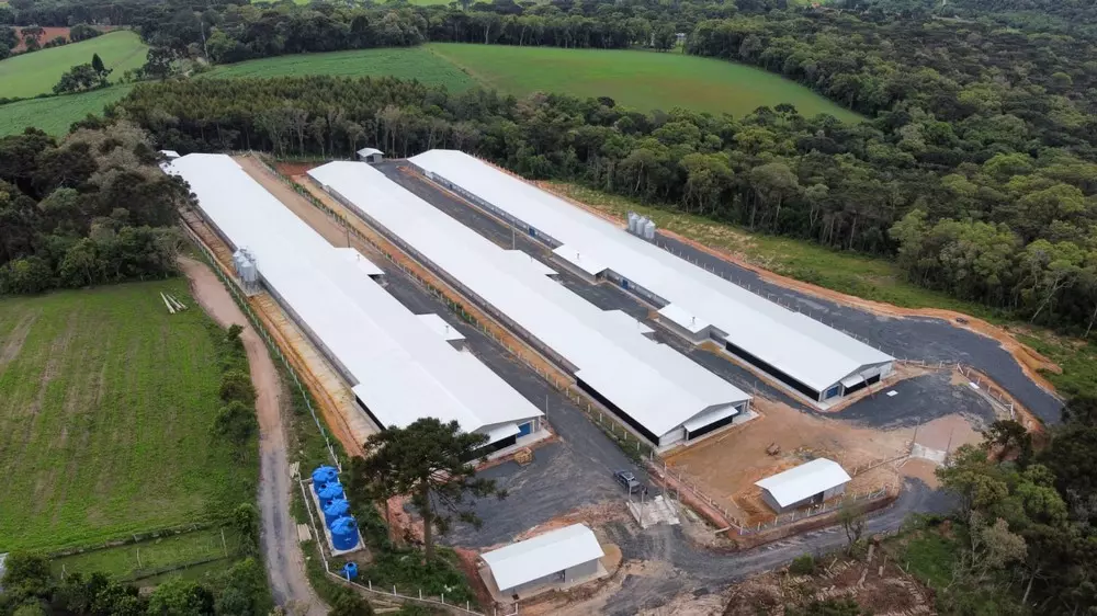 Rio Negro recebe investimento na avicultura com construção de granja automatizada